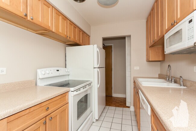 420 W Aldine Ave in Chicago, IL - Building Photo - Building Photo