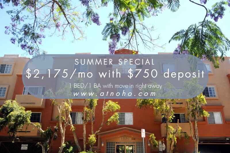 11020 Hesby St in Los Angeles, CA - Building Photo