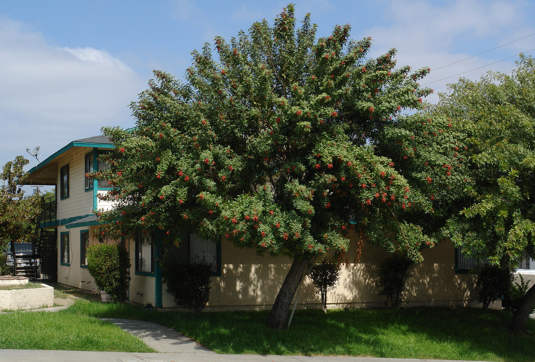 107 S Poe St in Lake Elsinore, CA - Building Photo