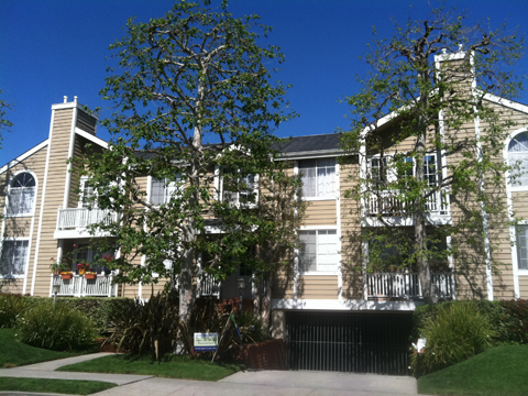 3732 Veteran Ave in Los Angeles, CA - Foto de edificio - Building Photo