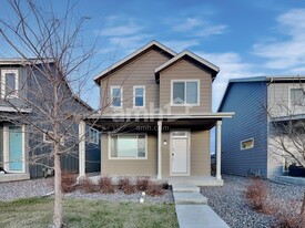 4267 Crestone Peak St in Brighton, CO - Building Photo