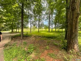 995 McKee Rd in Toney, AL - Building Photo