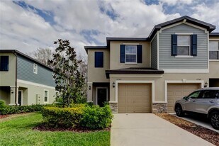 17567 Nectar Flume Dr in Land O Lakes, FL - Building Photo