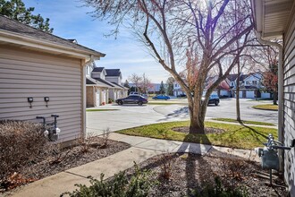 173 Cripple Creek Ct in Schaumburg, IL - Building Photo - Building Photo