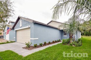 12747 Lemon Pepper Dr in Riverview, FL - Building Photo