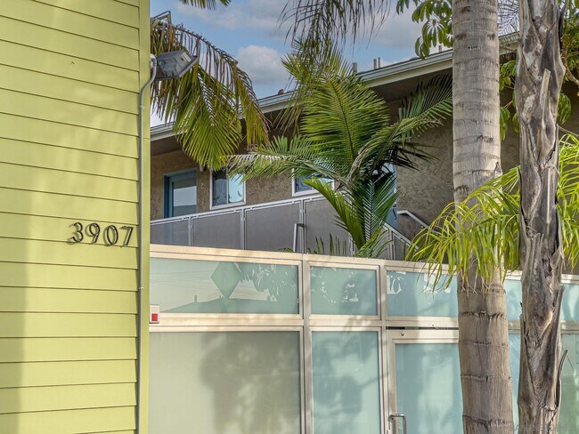 3907 Georgia St, Unit 8 in San Diego, CA - Building Photo - Building Photo