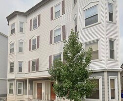 10 Homer St, Unit 1 in Brookline, MA - Building Photo