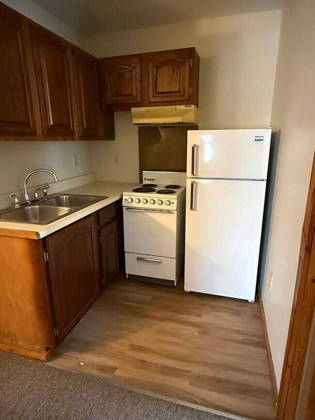 210 S Eaton St in Albion, MI - Building Photo - Building Photo