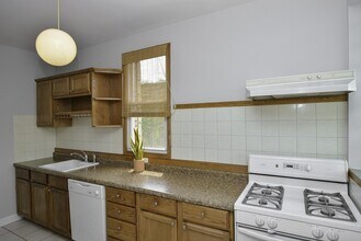 6218 N Bell Ave in Chicago, IL - Building Photo - Building Photo
