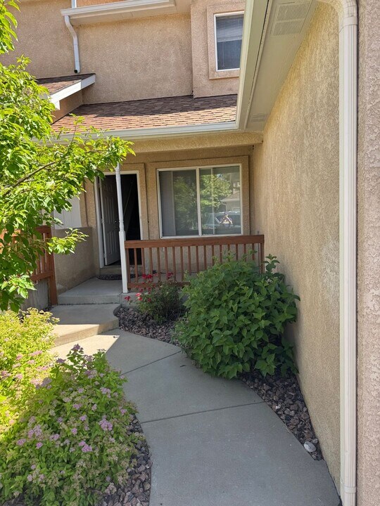 7823 Antelope Ridge Point in Colorado Springs, CO - Building Photo