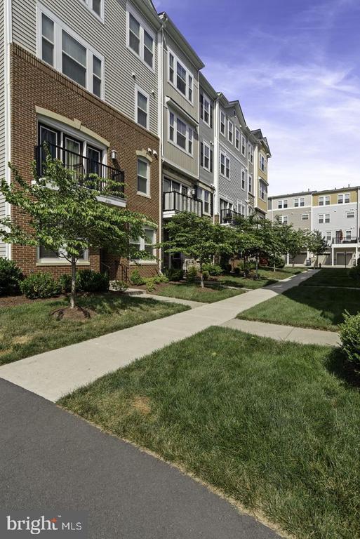 41985 White Mills Terrace in Stone Ridge, VA - Building Photo - Building Photo
