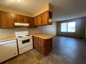 1075 S Lexington Ave in Springfield, MO - Building Photo - Building Photo
