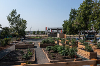 Terrace Gardens in Westminster, CO - Building Photo - Building Photo