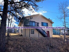 26172 Center Dr in Kittredge, CO - Building Photo