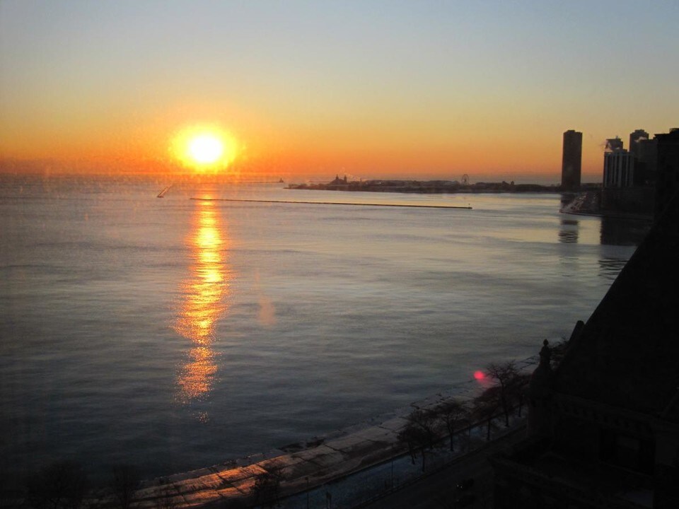 1550 N Lake Shore Dr-Unit -23D in Chicago, IL - Building Photo