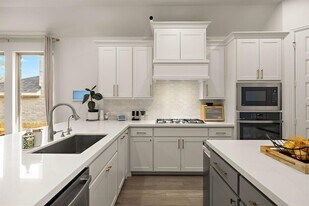 1213 Thunderhead Trl in Georgetown, TX - Building Photo