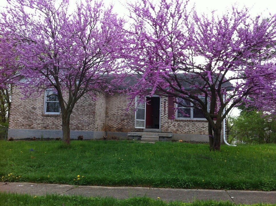 3201 Catskill Ct in Lexington, KY - Foto de edificio