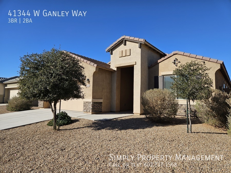 41344 W Ganley Way in Maricopa, AZ - Building Photo