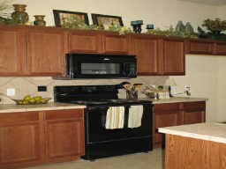 332 Schirra Ct in Lavon, TX - Building Photo - Building Photo