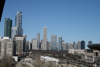 1841 S Calumet Ave in Chicago, IL - Building Photo - Building Photo