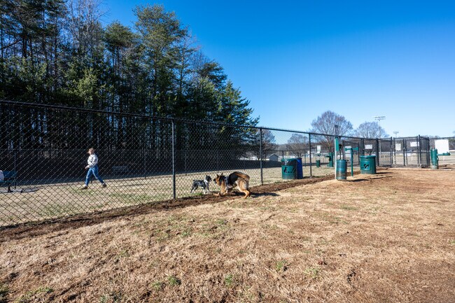 Apartments for rent in Kernersville, NC