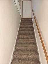 724 Whitesail Dr in Schaumburg, IL - Building Photo - Building Photo