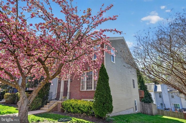 8010 Readington Ct in West Springfield, VA - Building Photo - Building Photo