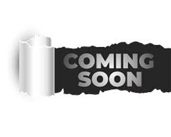 property at 2101 Avenue P