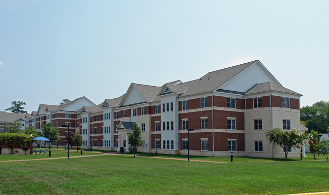 CNU Apartment Quad in Newport News, VA - Building Photo - Building Photo