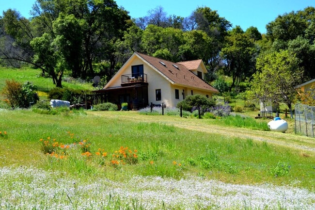 4862 Bear Valley Rd in Mariposa, CA - Building Photo - Building Photo