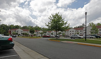 The Orchards at Belleville in Suffolk, VA - Building Photo - Building Photo