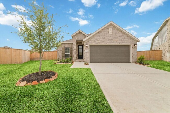26802 Tree Mallow Dr in Katy, TX - Building Photo - Building Photo
