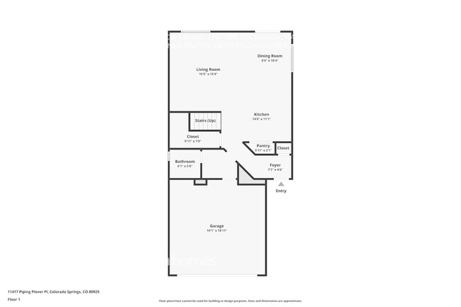 11417 Piping Plover Pl in Colorado Springs, CO - Building Photo - Building Photo