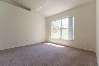 13117 Moonflower Ct in Clermont, FL - Building Photo - Building Photo