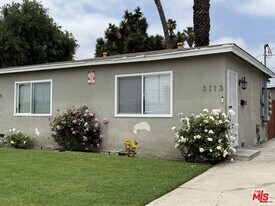 3113 W 36th St in Los Angeles, CA - Building Photo