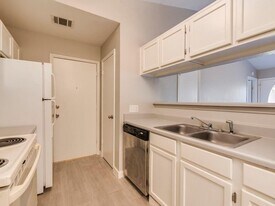 9101 Japonica Ct in Austin, TX - Building Photo