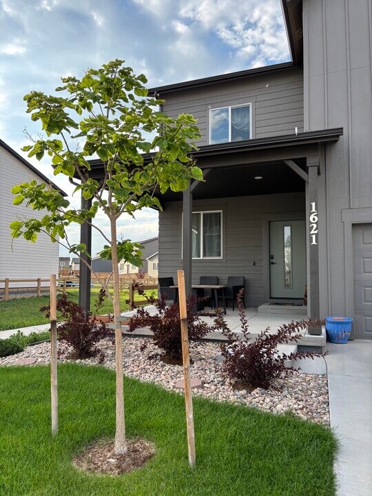 1621 Alfalfa Ln in Johnstown, CO - Building Photo