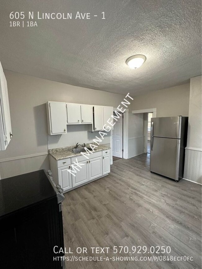 605 N Lincoln Ave in Scranton, PA - Building Photo - Building Photo