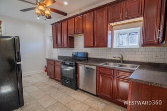 1007 S Campbell Ave in Chicago, IL - Building Photo - Building Photo