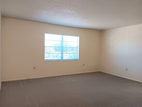 317 34th Ave N in St. Petersburg, FL - Building Photo - Building Photo