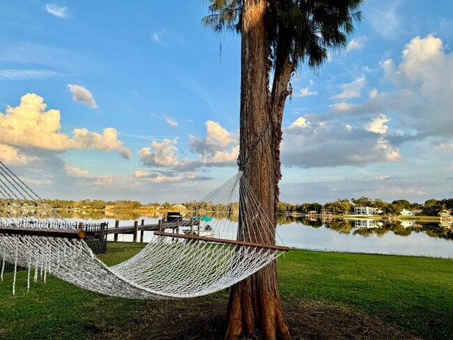 13815 Good Life Rd in Lake Magdalene, FL - Building Photo - Building Photo