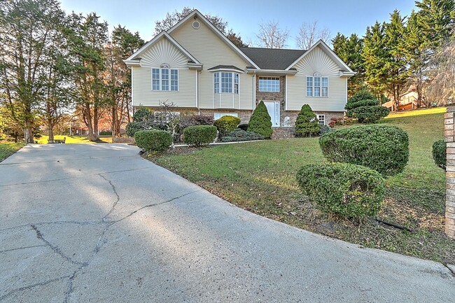 168 Old Mill Ct in Kingsport, TN - Building Photo - Building Photo
