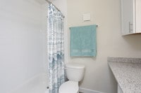 Pine Forest Apartments photo'