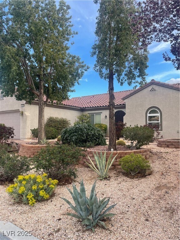 2389 Anderson Park Dr in Henderson, NV - Building Photo - Building Photo
