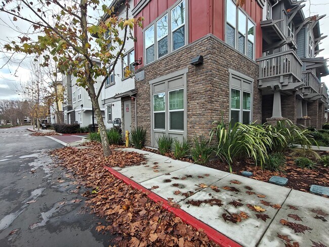 828 Julian Ter in Sunnyvale, CA - Building Photo - Building Photo