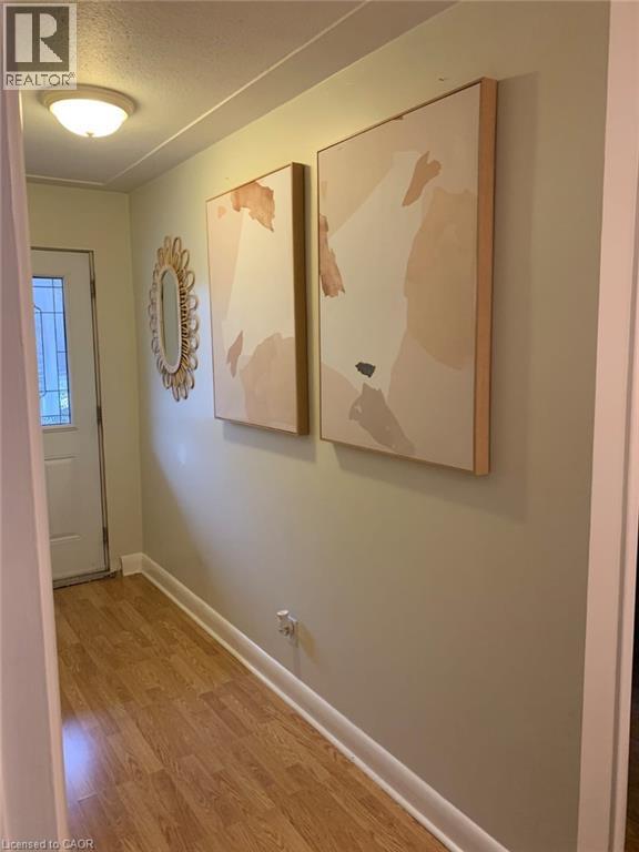 317 Bedford Rd in Kitchener, ON - Building Photo - Building Photo