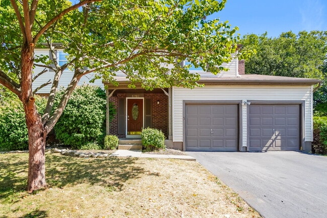 property at 6780 Atlin Ct