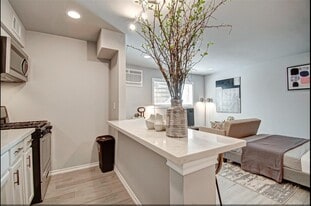 1903 Commonwealth St in Houston, TX - Building Photo