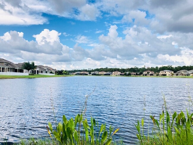 10505 Willow Ridge Loop in Orlando, FL - Building Photo - Building Photo