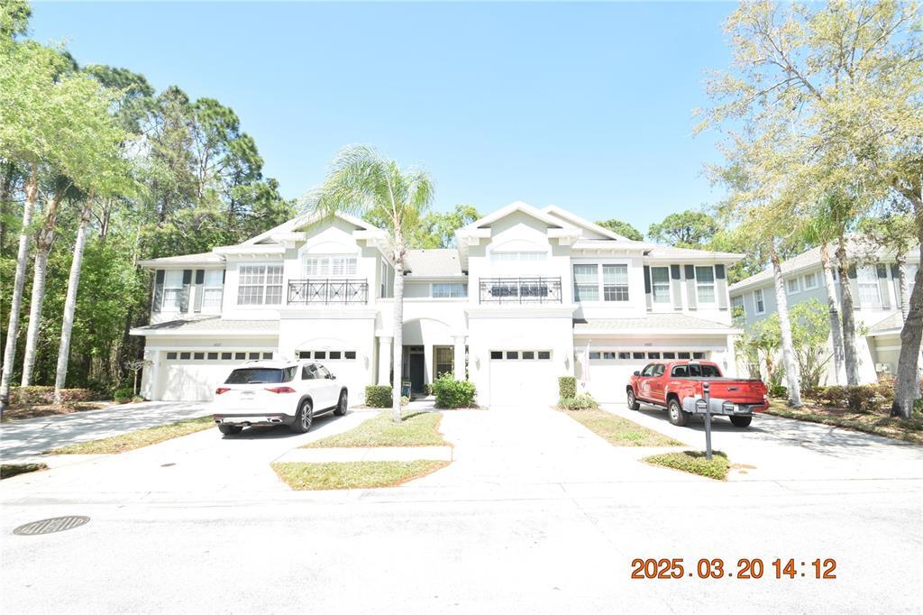 14223 Waterville Cir in Tampa, FL - Building Photo